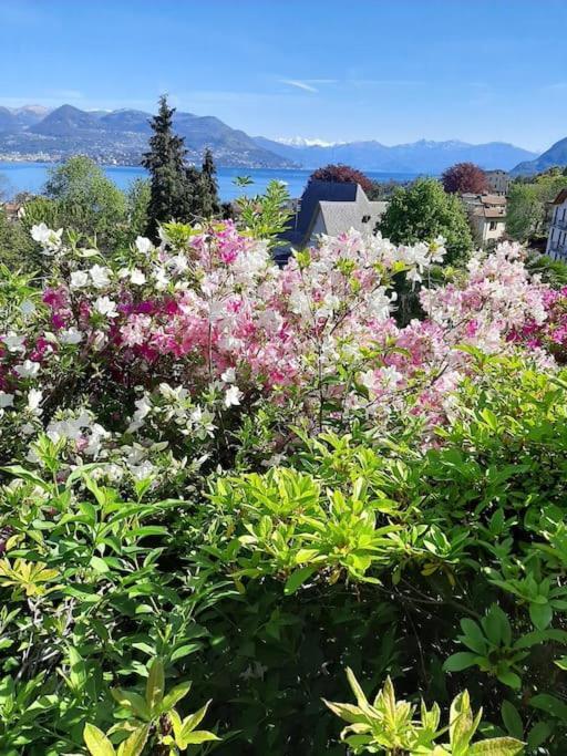 La Finestra Sul Lago - In Villa Con Vista E Posto Auto Coperto Stresa Kültér fotó